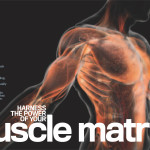 Muscle Matrix Thumbnail